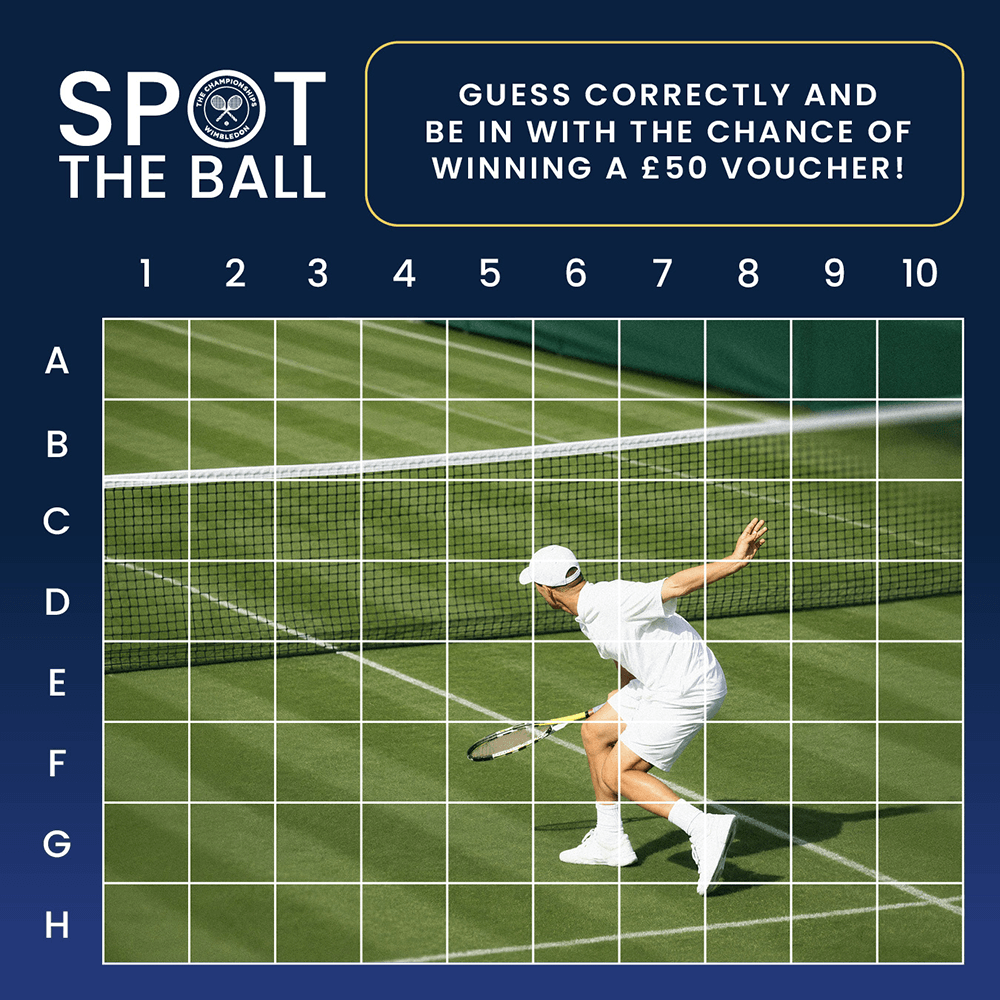 Spot the tennis ball