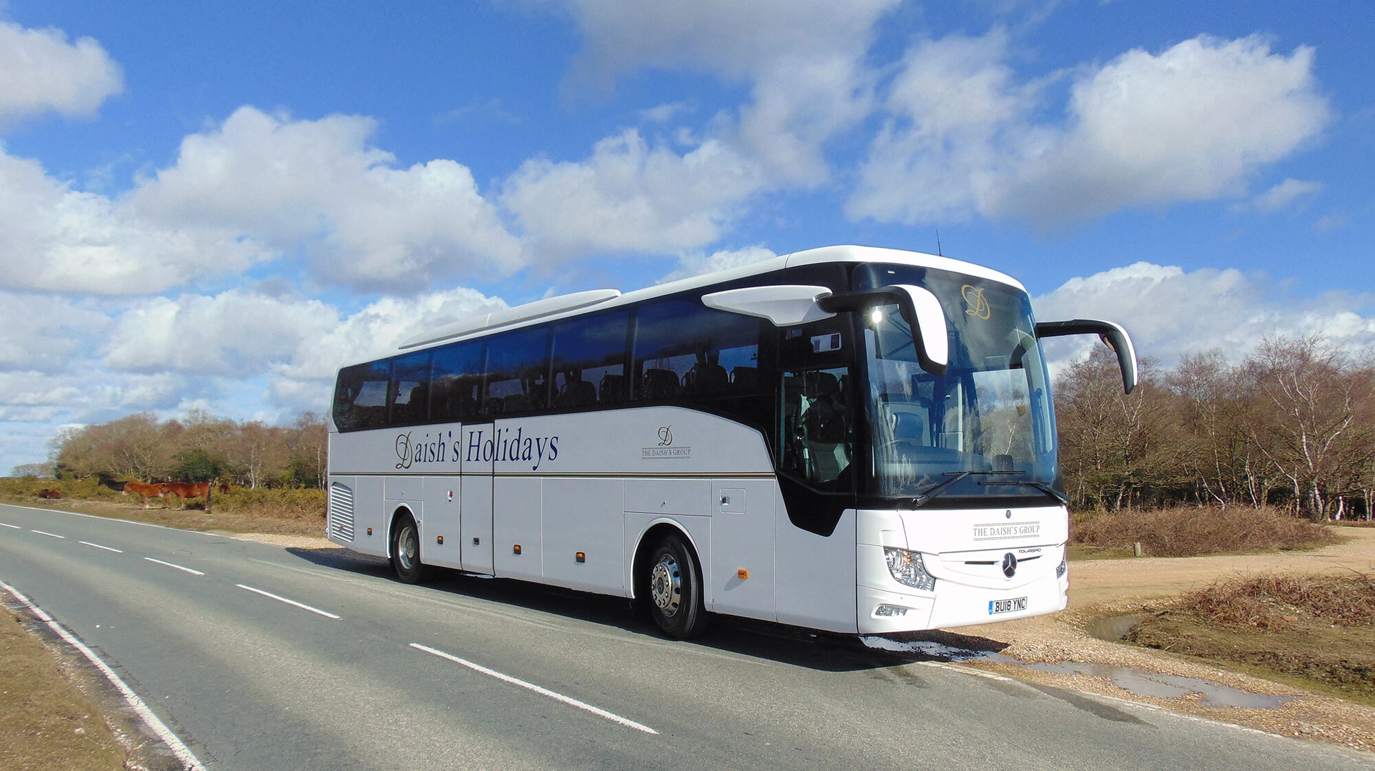 Daish's Coach in New Forest